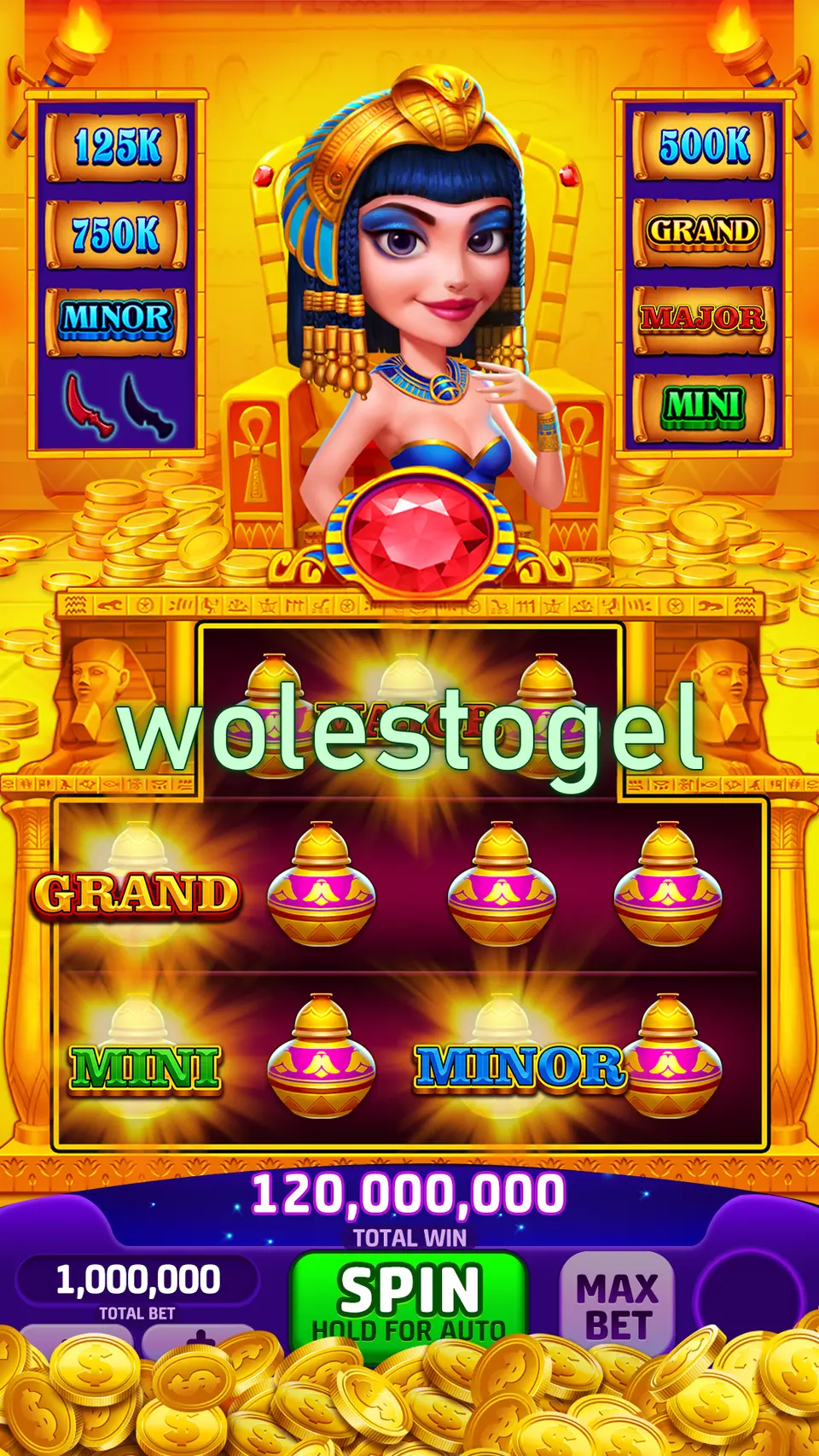 wolestogel APK